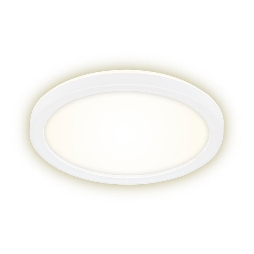 Briloner 7150-416 - LED Griestu gaismeklis SLIM LED/12W/230V d. 19 cm