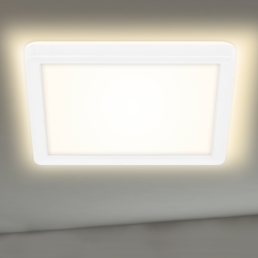 Briloner 7153-416 - LED Griestu gaismeklis SLIM LED/12W/230V
