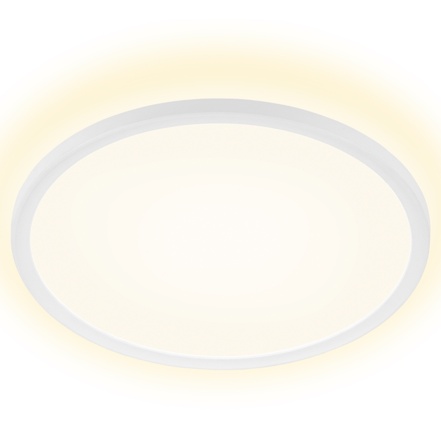Briloner 7157-416 - LED Griestu lampa SLIM LED/22W/230V diametrs 42 cm