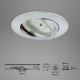 Briloner 7296-019 - LED Aptumšojama iegremdējama vannas istabas lampa LED/6,5W/230V IP23