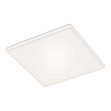 Briloner 7376-116 - LED Griestu lampa FRAMELESS LED/24W/230V