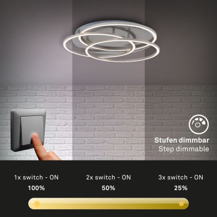 Briloner - LED Aptumšojama griestu lampa FRAMES LED/60W/230V matēts hroms