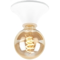 Briloner - Vannas istabas griestu lampa 1xE27/10W/230V IP44 balta