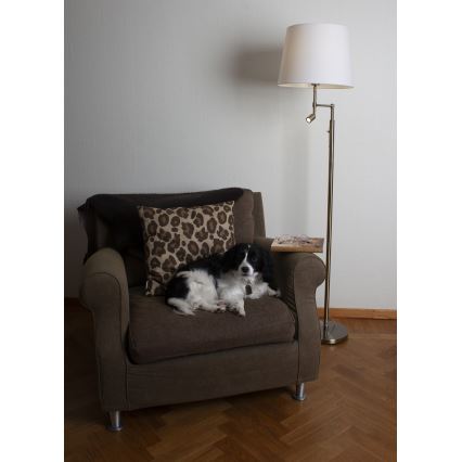 ByRydens - LED Grīdas stāvlampa ORLANDO 1xE27/5W/230V + LED/3W balta/bronza d. 36 cm