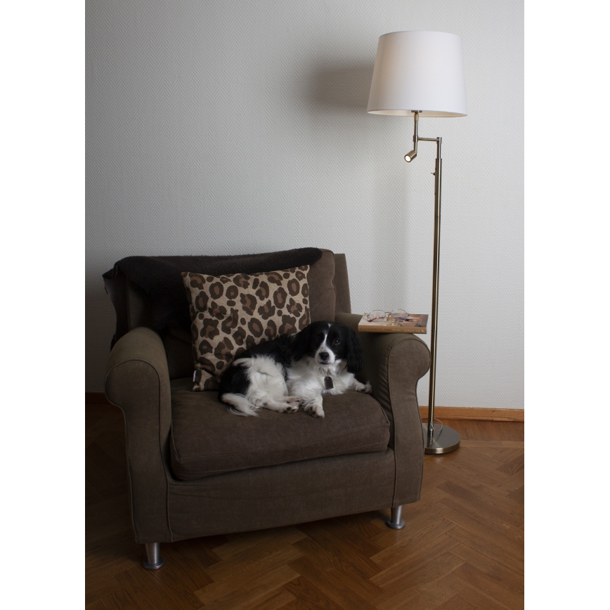 ByRydens - LED Grīdas stāvlampa ORLANDO 1xE27/5W/230V + LED/3W balta/bronza d. 36 cm