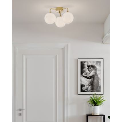 ByRydens - pie griestiem piestiprināma lustra BELLAGIO 3xE27/8W/230V