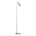 ByRydens - Grīdas lampa CURVE 1xGU10/7W/230V zeltaina