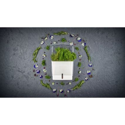 Cole&Mason - Trauks svaigi sagrieztu garšaugu uzglabāšanai