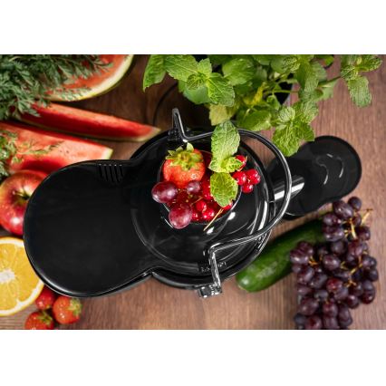 Concept LO7095 - Centrifūgas sulu spiede 1000W/230V melna/nerūsējošais tērauds