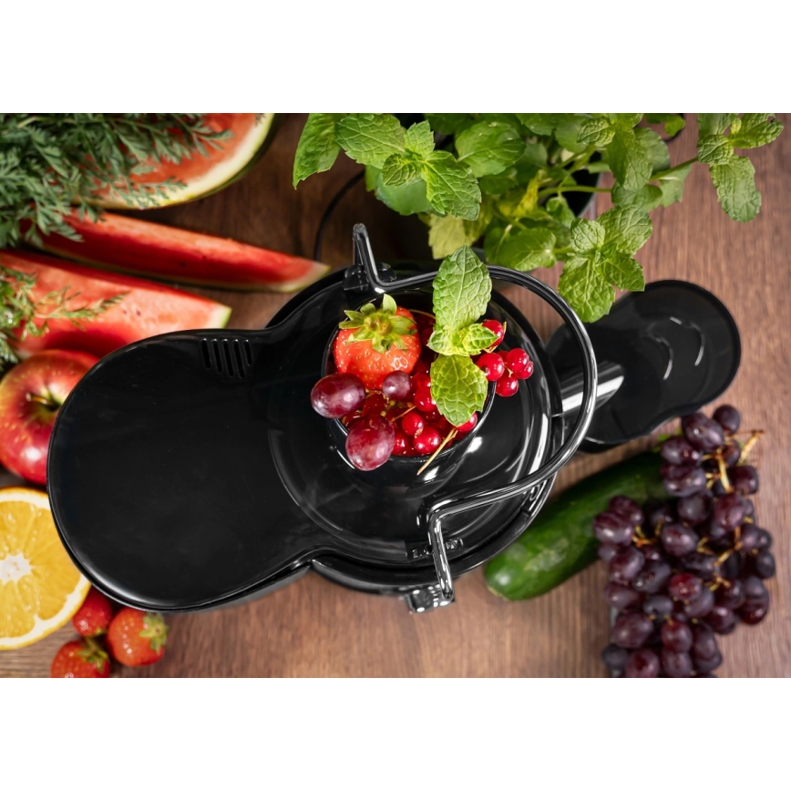 Concept LO7095 - Centrifūgas sulu spiede 1000W/230V melna/nerūsējošais tērauds