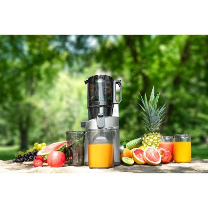 Concept LO7120 - Lēna sulas spiede JUICY 250W/230V pelēka