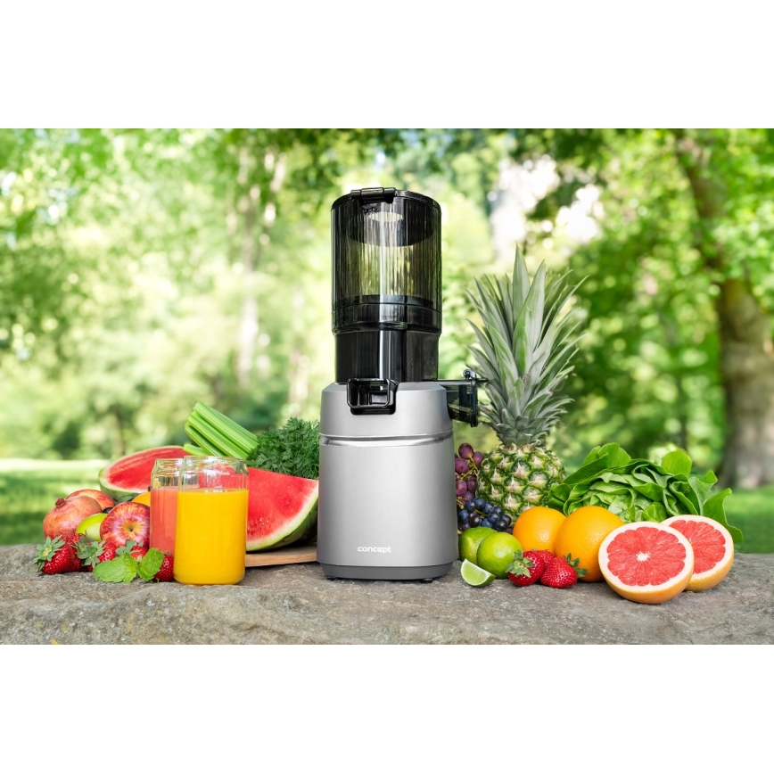 Concept LO7120 - Lēna sulas spiede JUICY 250W/230V pelēka
