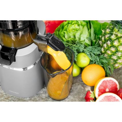 Concept LO7120 - Lēna sulas spiede JUICY 250W/230V pelēka