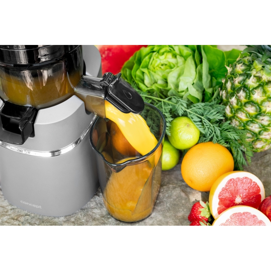 Concept LO7120 - Lēna sulas spiede JUICY 250W/230V pelēka