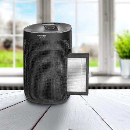 Concept OV1210 - Gaisa mitruma noņēmējs un gaisa attīrītājs PERFECT AIR 1 l 45W/230V melns