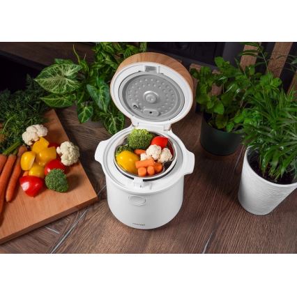 Concept RE3030 - Digitālais rīsu vārītājs 2 vienā 380W/230V 1,5 l balts/koka dekors