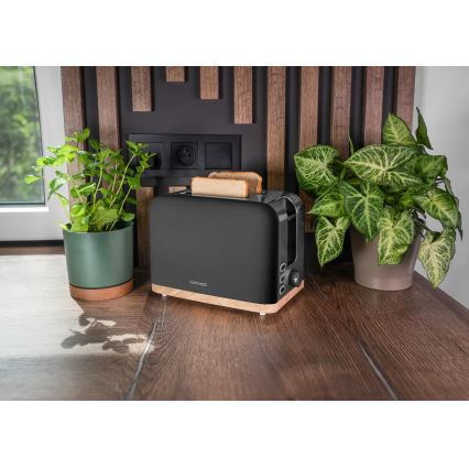 Concept TE2016 - Maizgrauzdētājs ar divām spraugām un cepšanas režģi 930W/230V melns