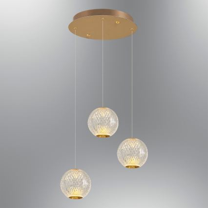 CREMONA LED lustra uz troses 3xLED/5W/230V 3000K zelta