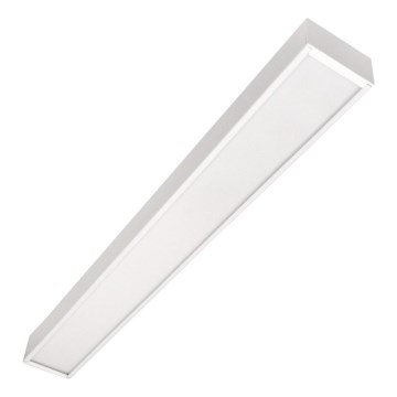CYNIDECO LED/12W/230V 4000K balta LED griestu piekārts apgaismojums