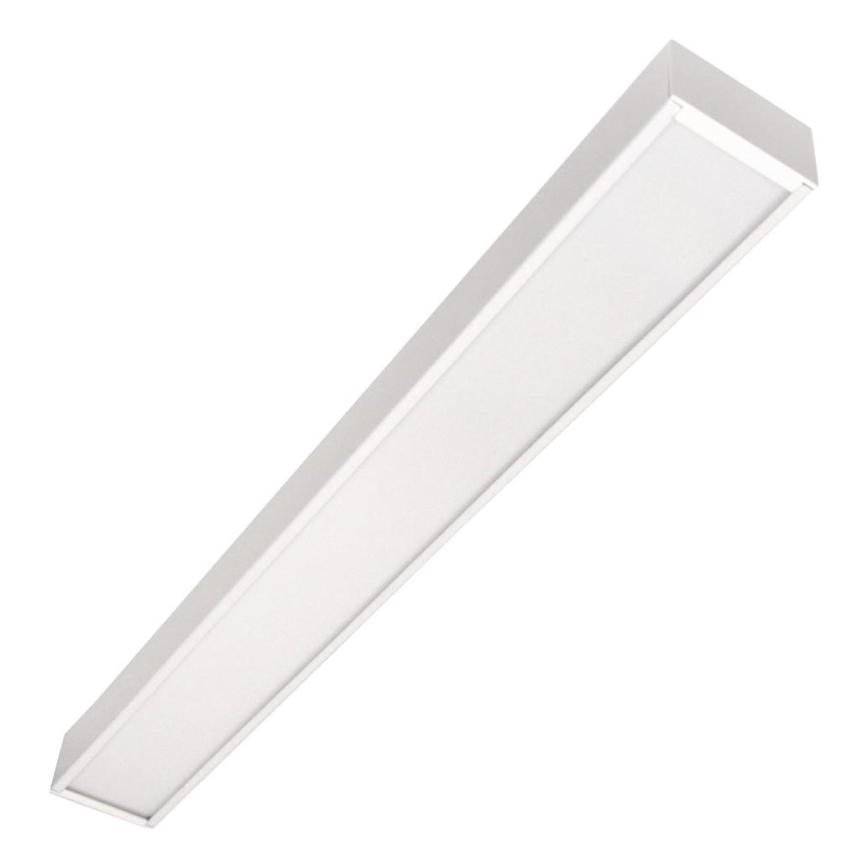 CYNIDECO LED/12W/230V 4000K balta LED griestu piekārts apgaismojums