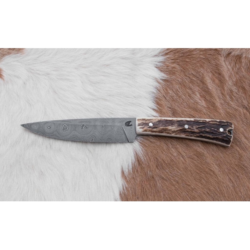 Damaskas medību ekspedīcijas nazis ar mini zāģīti 12 cm brieža rags