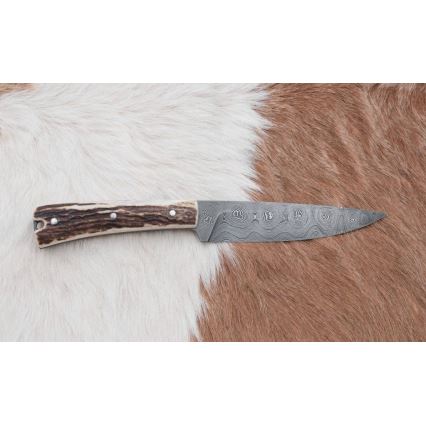 Damaskas medību ekspedīcijas nazis ar mini zāģīti 12 cm brieža rags