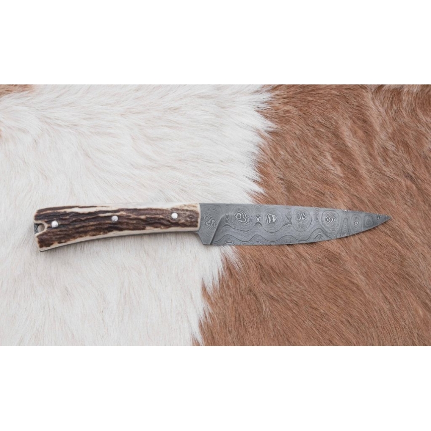 Damaskas medību ekspedīcijas nazis ar mini zāģīti 12 cm brieža rags