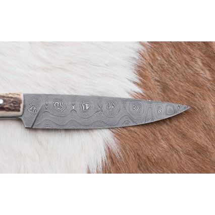 Damaskas medību ekspedīcijas nazis ar mini zāģīti 12 cm brieža rags