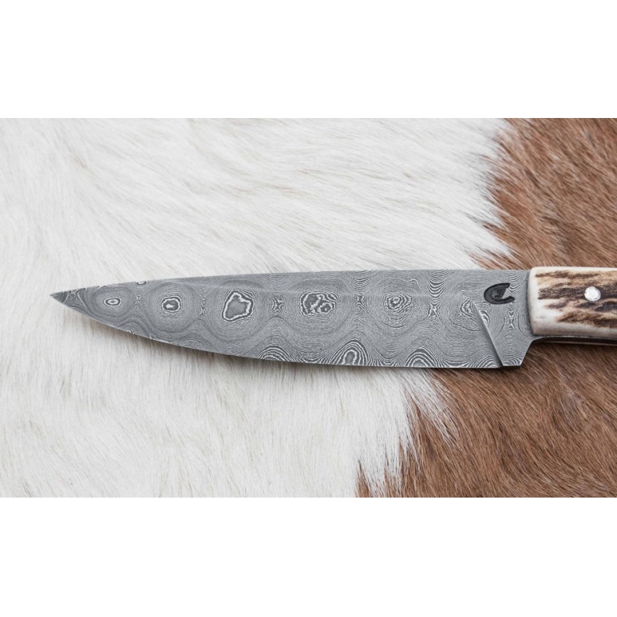 Damaskas medību ekspedīcijas nazis ar mini zāģīti 12 cm brieža rags