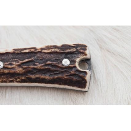 Damaskas medību ekspedīcijas nazis ar mini zāģīti 12 cm brieža rags