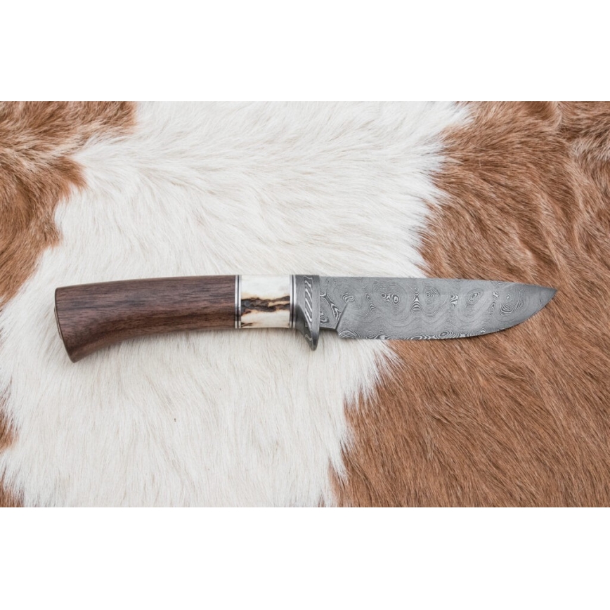 Damaskas medību nazis 11,8 cm rieksts/brieža rags