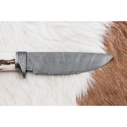 Damaskas medību nazis 11,8 cm rieksts/brieža rags