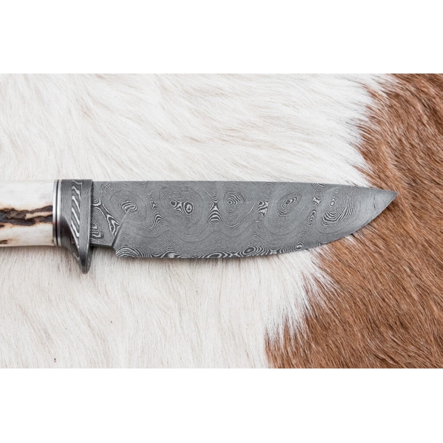 Damaskas medību nazis 11,8 cm rieksts/brieža rags