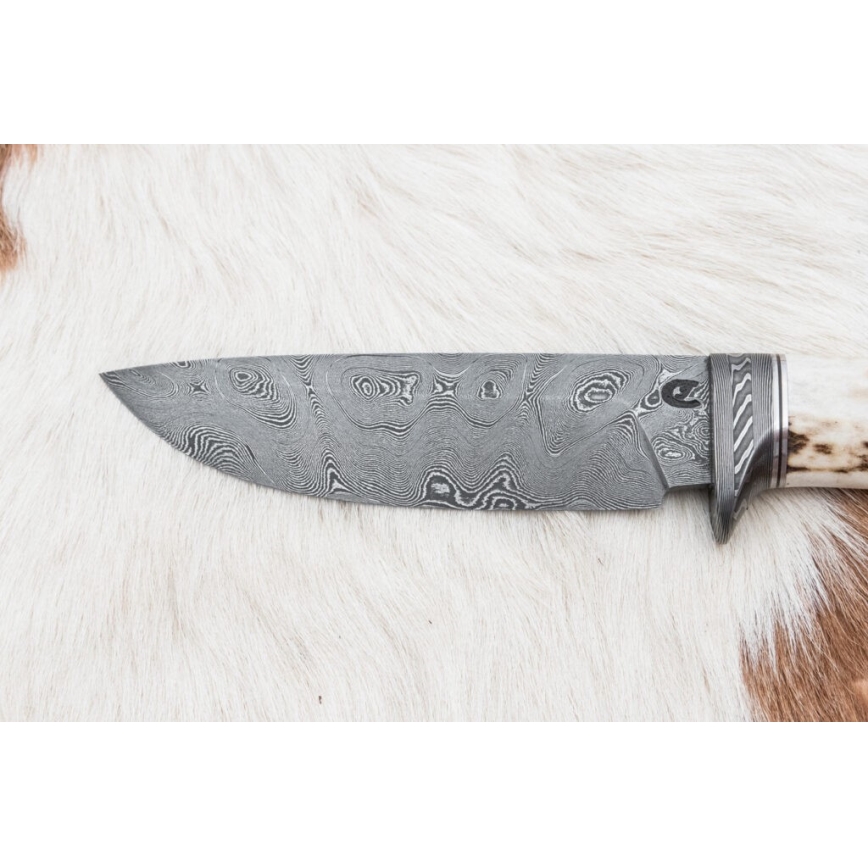 Damaskas medību nazis 11,8 cm rieksts/brieža rags