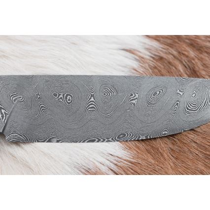 Damaskas medību nazis 11,8 cm rieksts/brieža rags