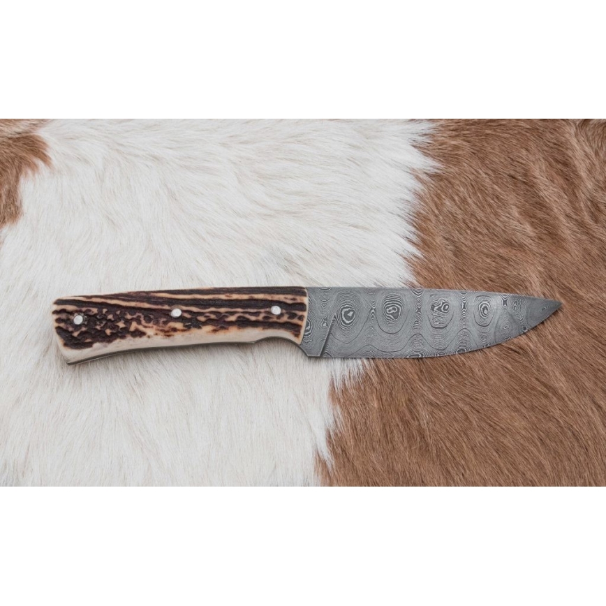 Damaskas medību nazis 11 cm brieža rags