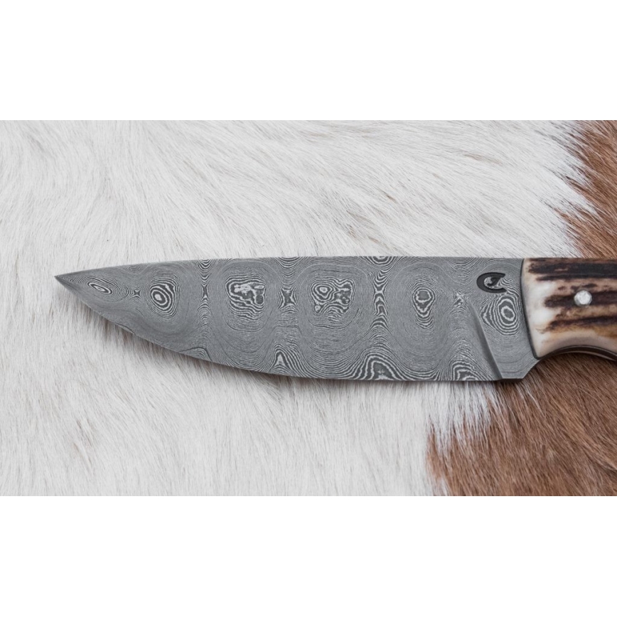 Damaskas medību nazis 11 cm brieža rags