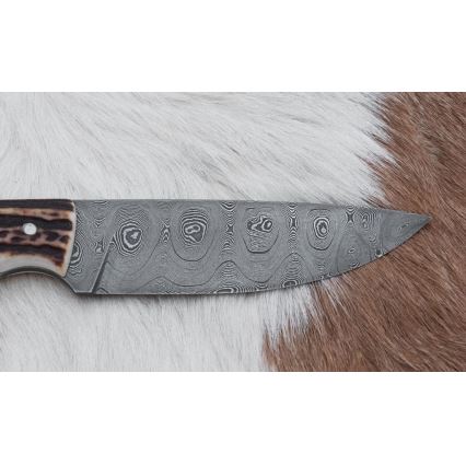 Damaskas medību nazis 11 cm brieža rags