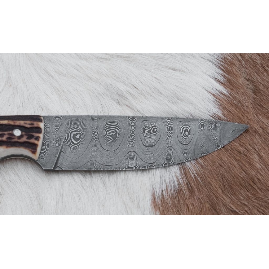 Damaskas medību nazis 11 cm brieža rags