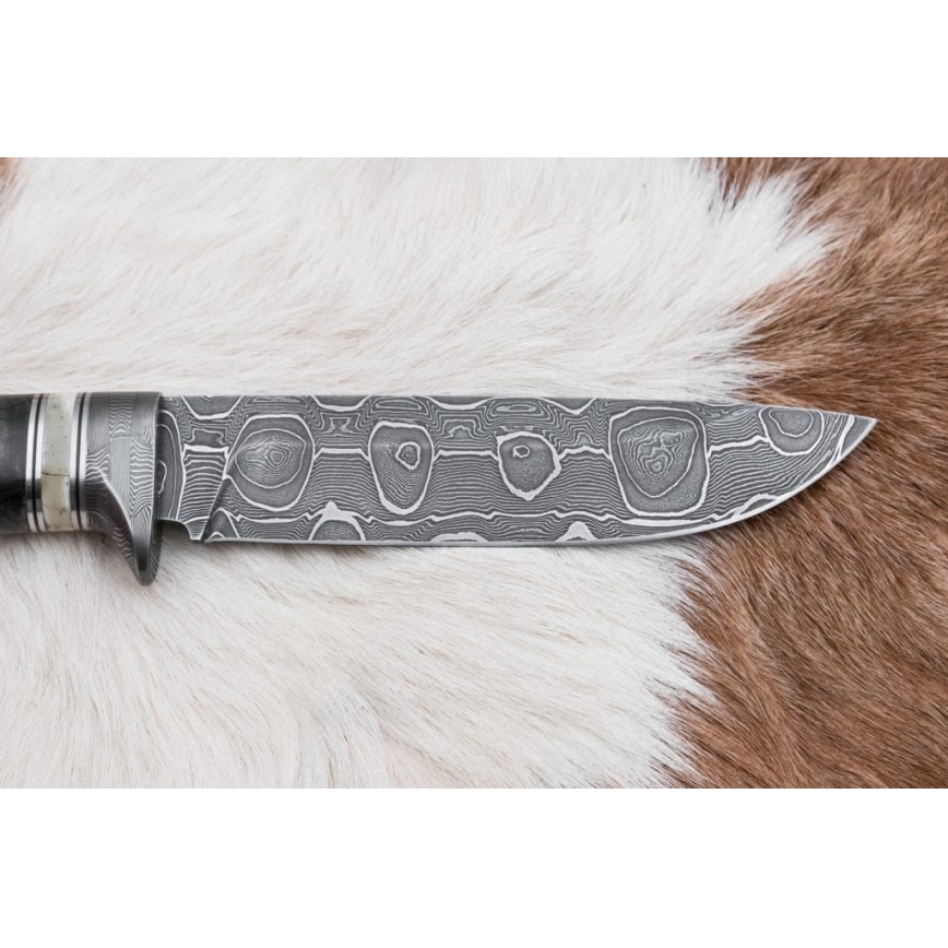 Damaskas medību nazis 13,8 cm Bērzs/kamieļa kauls