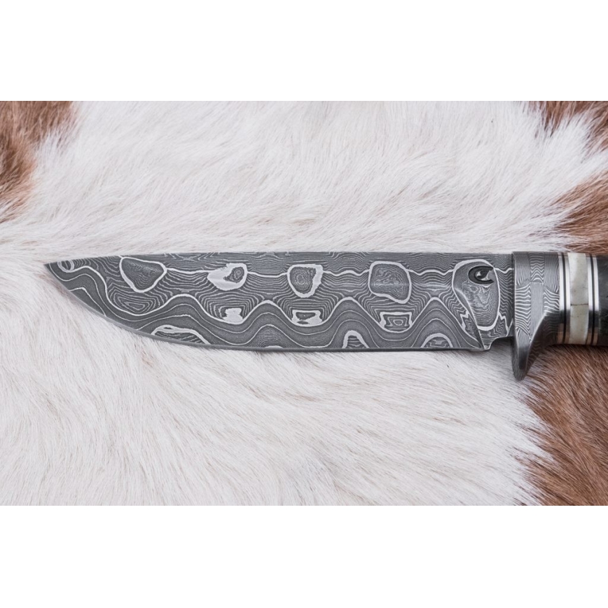 Damaskas medību nazis 13,8 cm Bērzs/kamieļa kauls