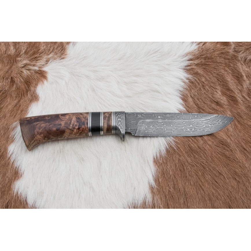 Damaskas medību nazis 13 cm papele/ebenkoks