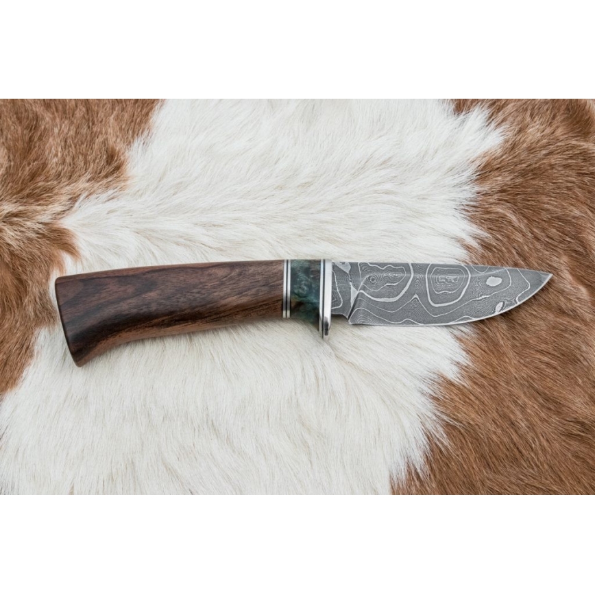 Damaskas medību nazis 9,7 cm rieksts/kļava