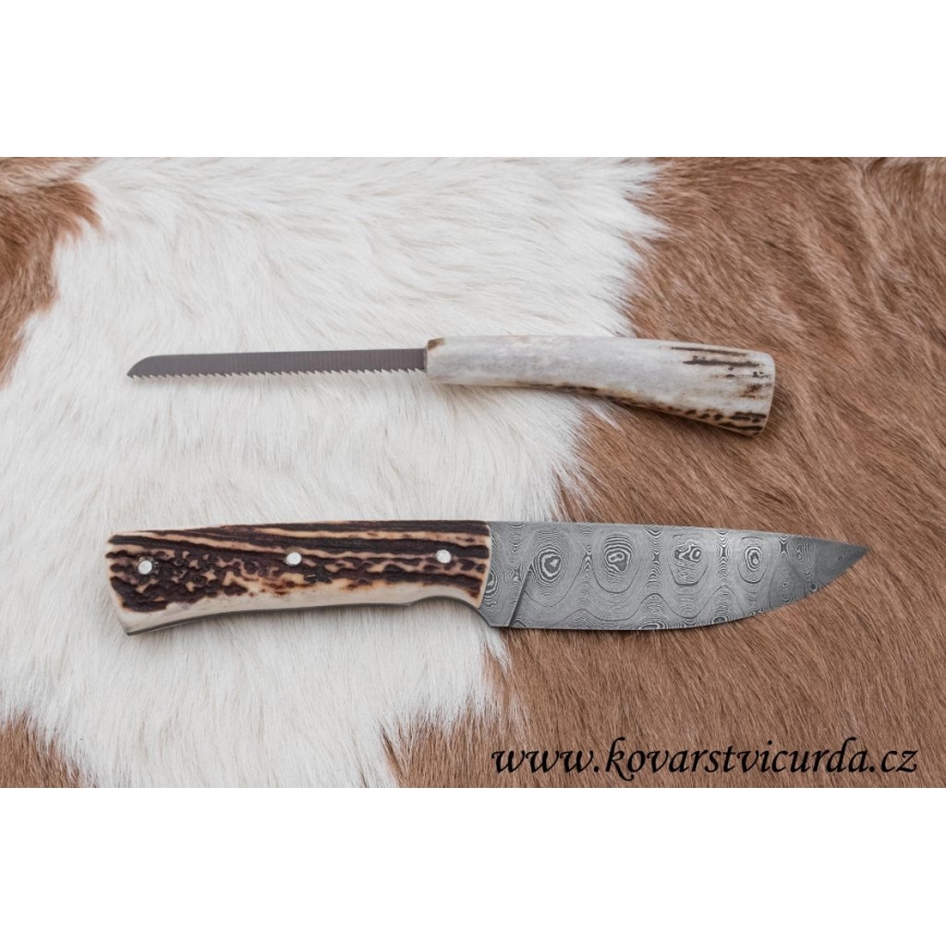 Damaskas medību nazis ar mini zāģīti 11 cm brieža rags