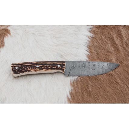 Damaskas medību nazis ar mini zāģīti 11 cm brieža rags