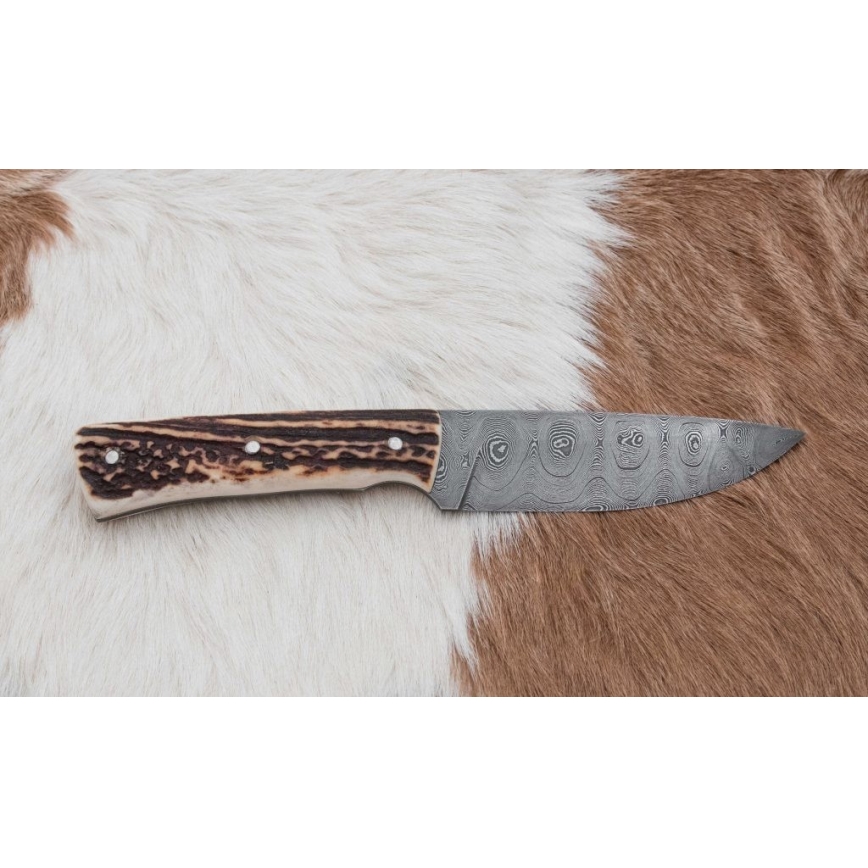 Damaskas medību nazis ar mini zāģīti 11 cm brieža rags