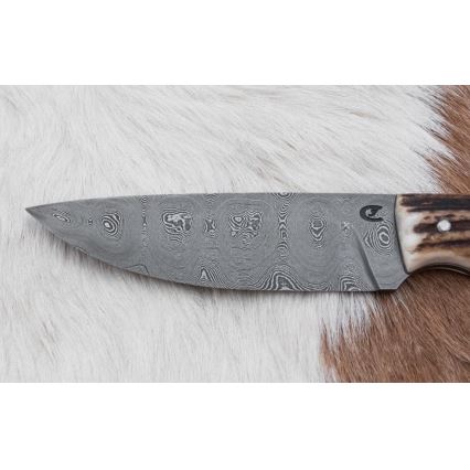 Damaskas medību nazis ar mini zāģīti 11 cm brieža rags