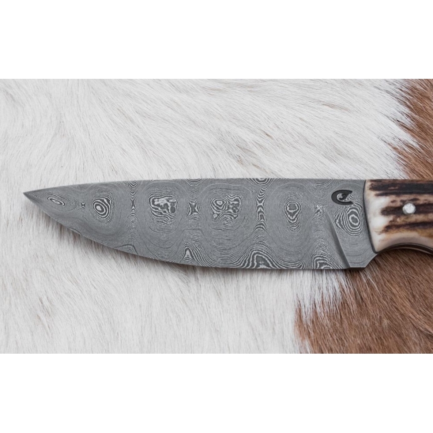 Damaskas medību nazis ar mini zāģīti 11 cm brieža rags