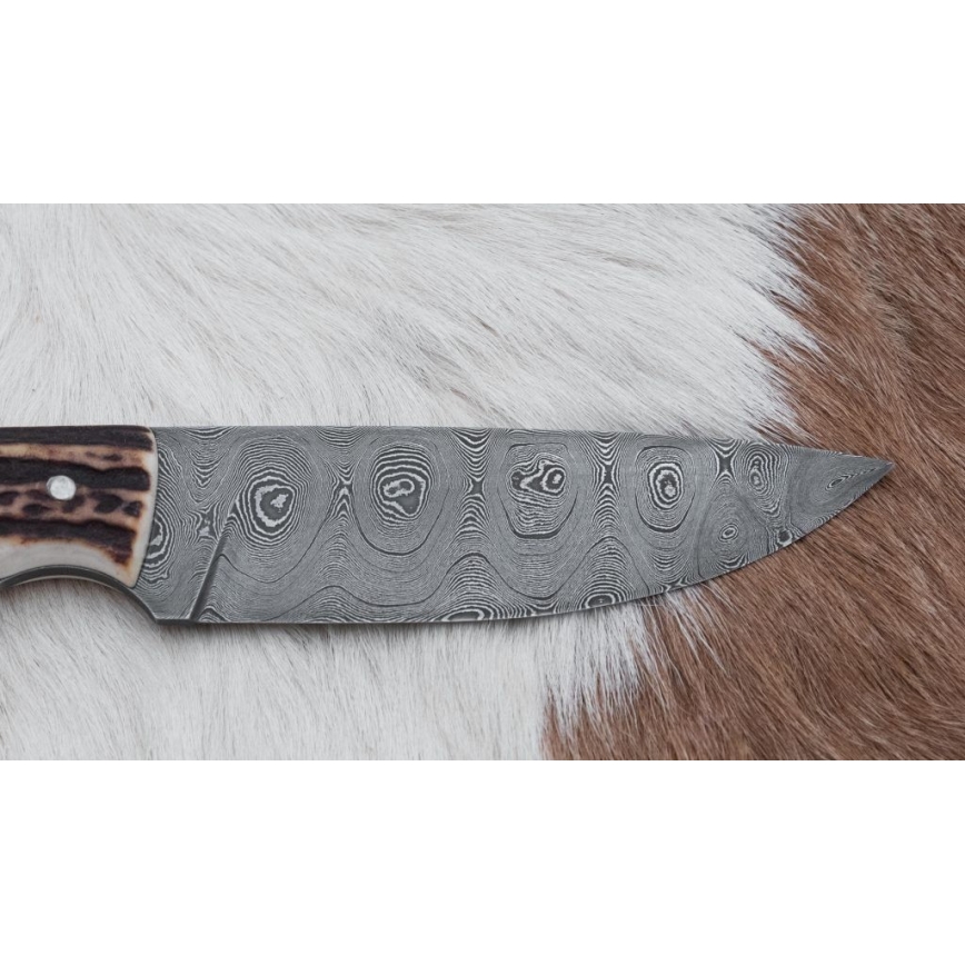Damaskas medību nazis ar mini zāģīti 11 cm brieža rags