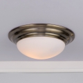 Där Lighting BAR5075 - Griestu lampa vannas istabai BARCLAY 1xE27/60W/230V Ø 38 cm misiņš